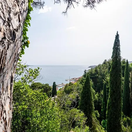 Color - Comfort One Bedroom With Terrace And Partial Sea... Mlini