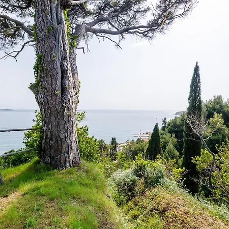 Color - Comfort One Bedroom With Terrace And Partial Sea... Apartman *