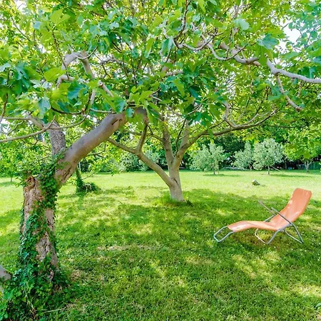 Color - Comfort One Bedroom With Terrace And Partial Sea...
