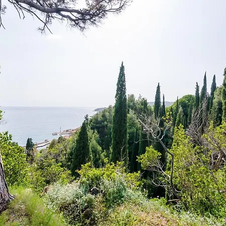 Color - Comfort One Bedroom With Terrace And Partial Sea...